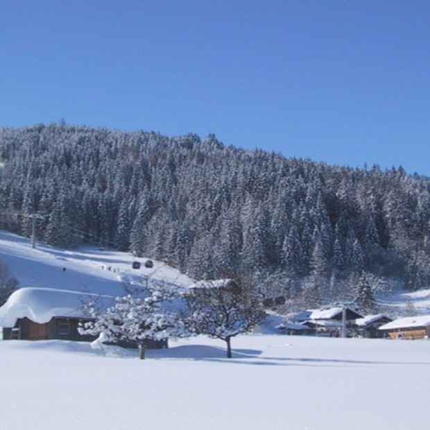 Blick Richtung Skischaukel - Fotograf: Familie Hochwimmer